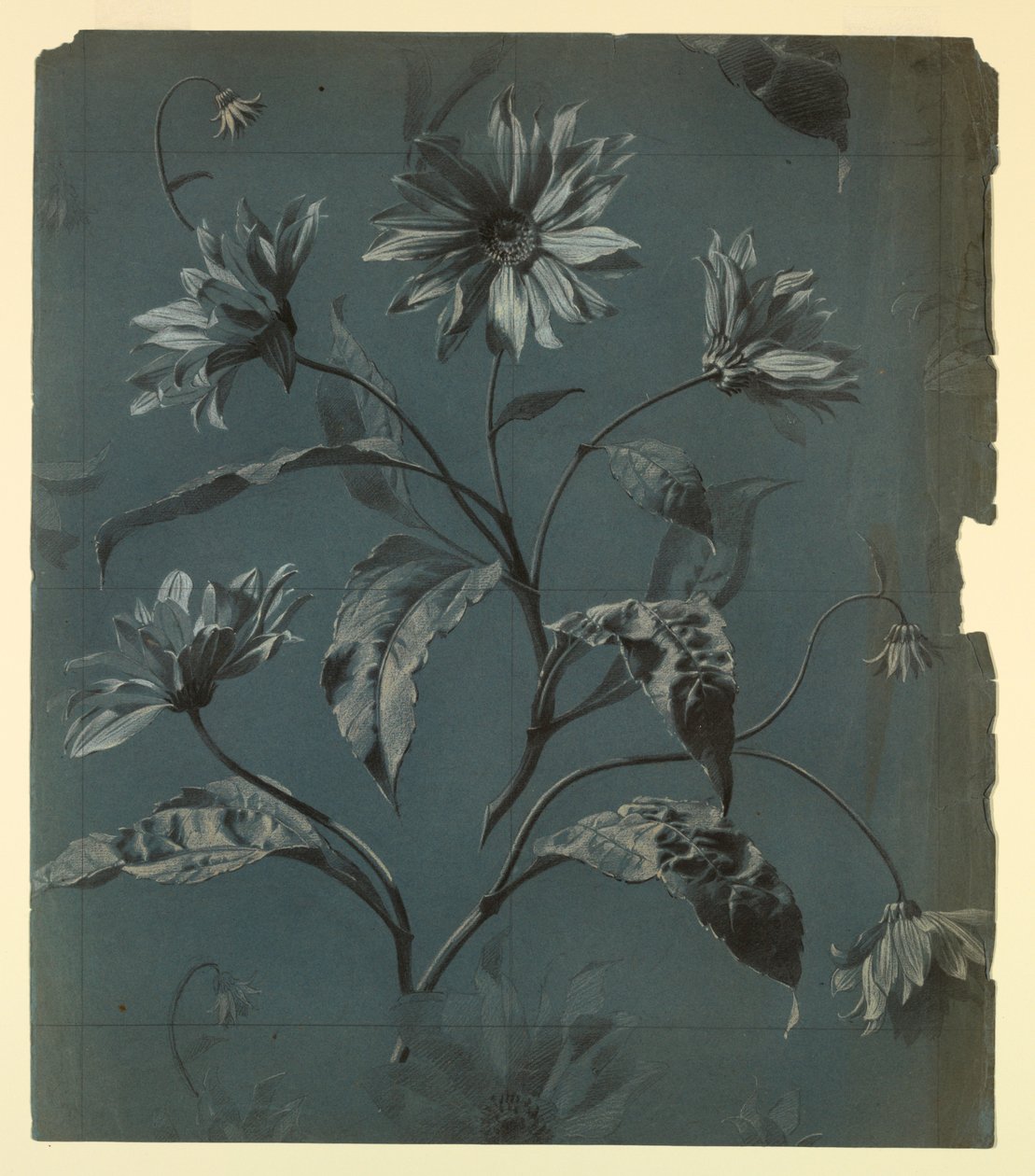Design til tapet eller tekstil af Daisy-Type Flower med Repeat af Unknown