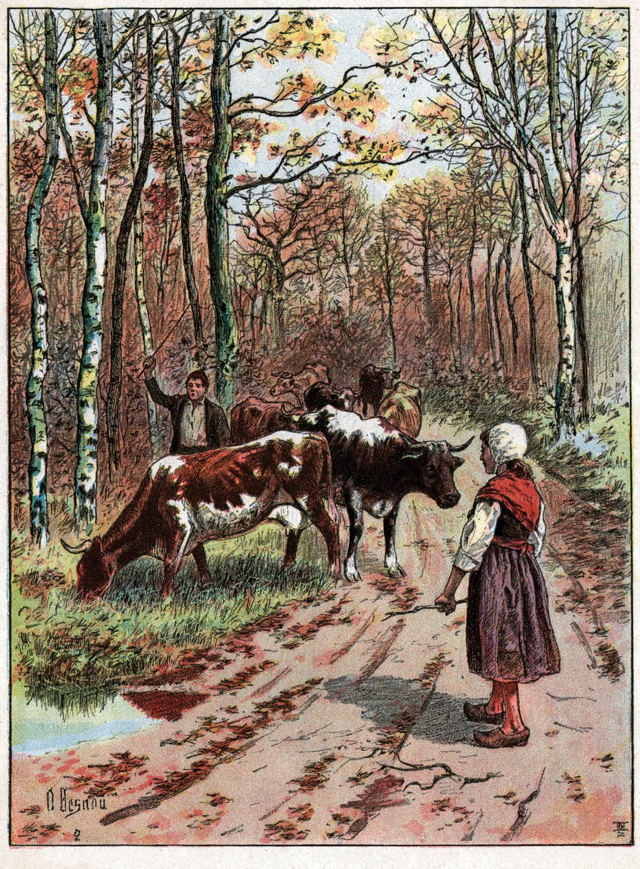 En flok køer. En flok køer. af Unknown