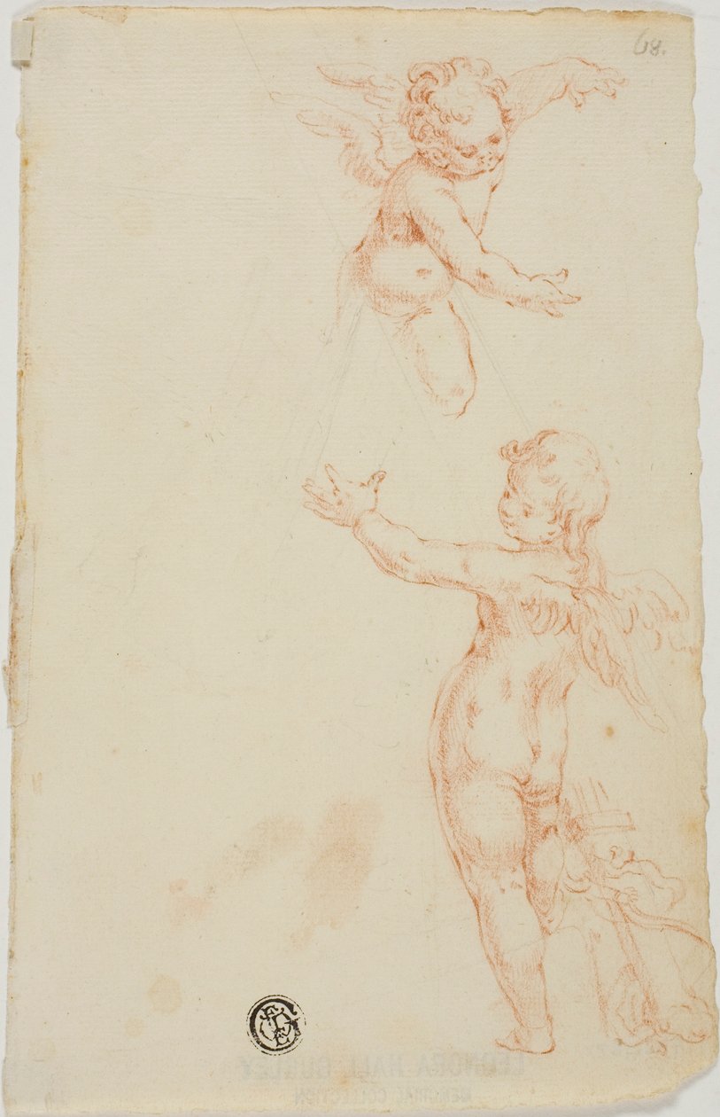 To vingede Putti, en flyvende af Unknown