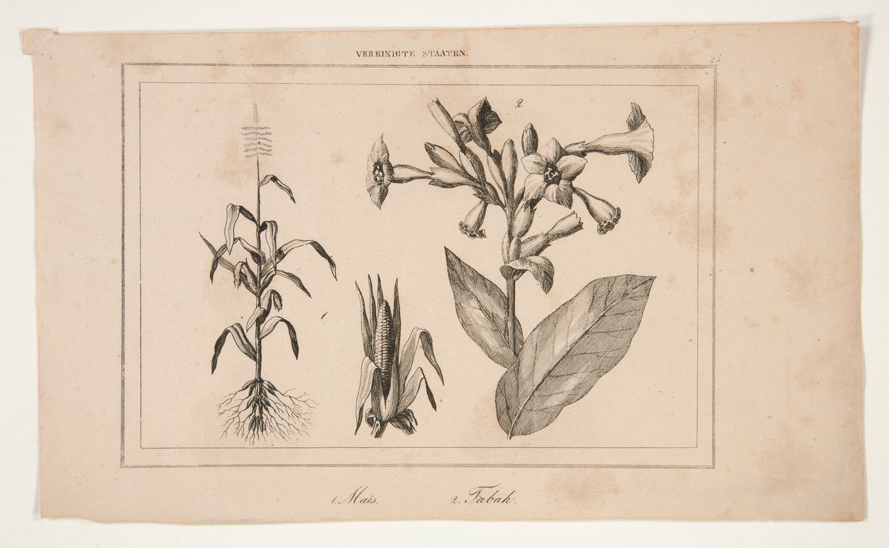 Uden titel (Study of American Agriculture) af Unknown
