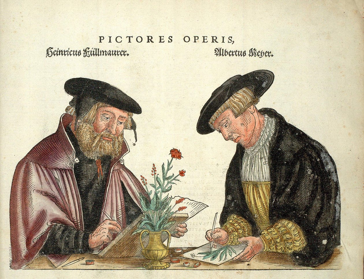 2 kunstnere, der illustrerede bogen, Albert Meyer og Veit Rudolph Speckle, "" De Historia Stirpium commentarii insignia,..."" af Leonhart Fuchs af Unknown artist