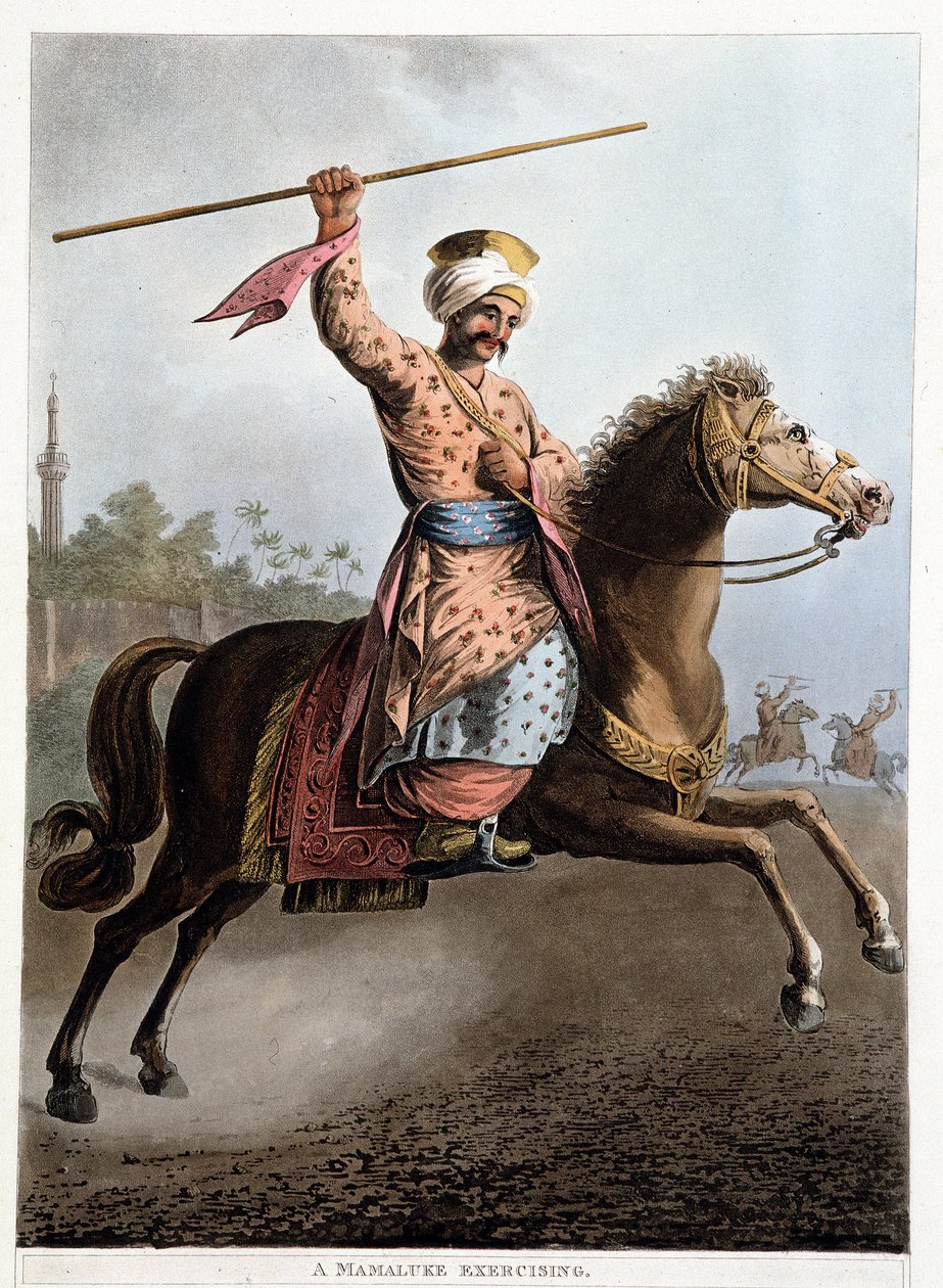 En mamluk på sin hest - i "Udsigter i Egypten, Palæstina og andre dele af Det Osmanniske Rige""" af Unknown artist