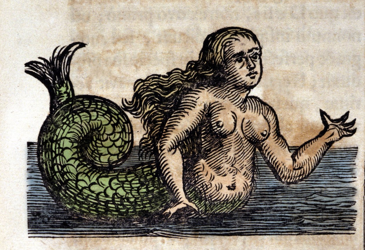 En sirene, legendarisk person - Indgravering fra et værk af Athanasius Kircher (1601 - 1680), jesuite, orientalist og tysk lærd af Unknown artist
