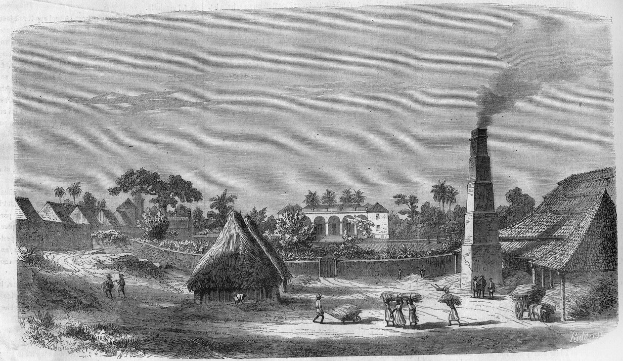 En slikfabrik på øen Cuba i 1869. af Unknown artist