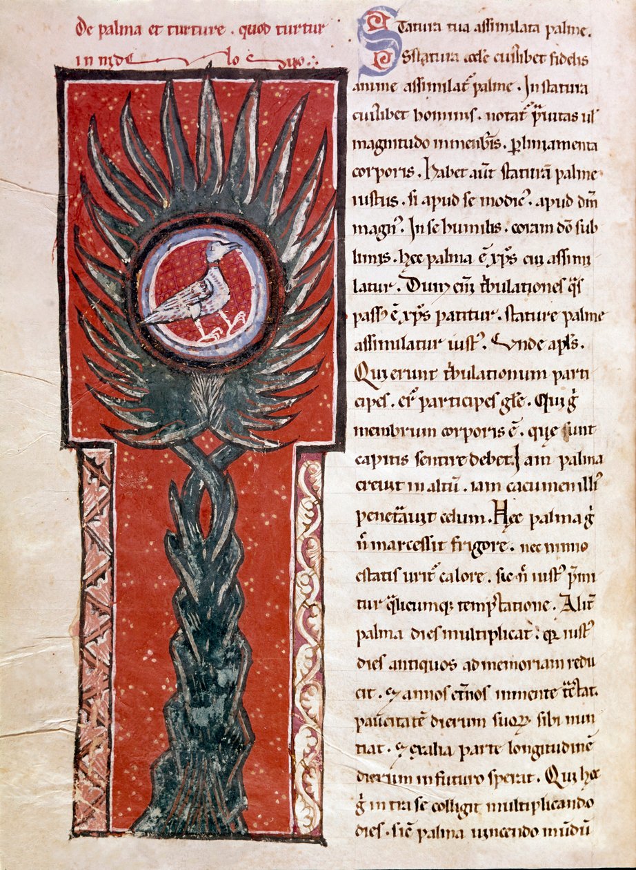 En due, der laver sin rede i et palmetræ (miniature af Unknown artist