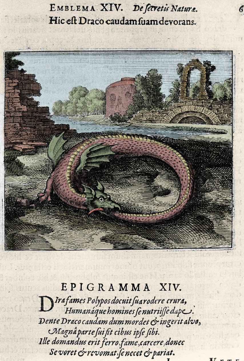 En drage, der slår sin hale (eller Ouroburo (?)). Plade taget fra alkymiens vandring ""Atalanta fugiens dette er det nye emblem på naturens kemiske hemmeligheder"" af Michel Maier (1568-1622) af Unknown artist