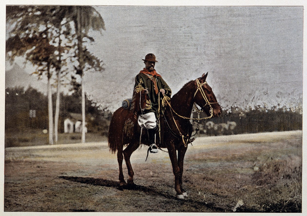 En gaucho i Rio Grande do Sul (Brasilien), slutningen af det 19. århundrede af Unknown artist