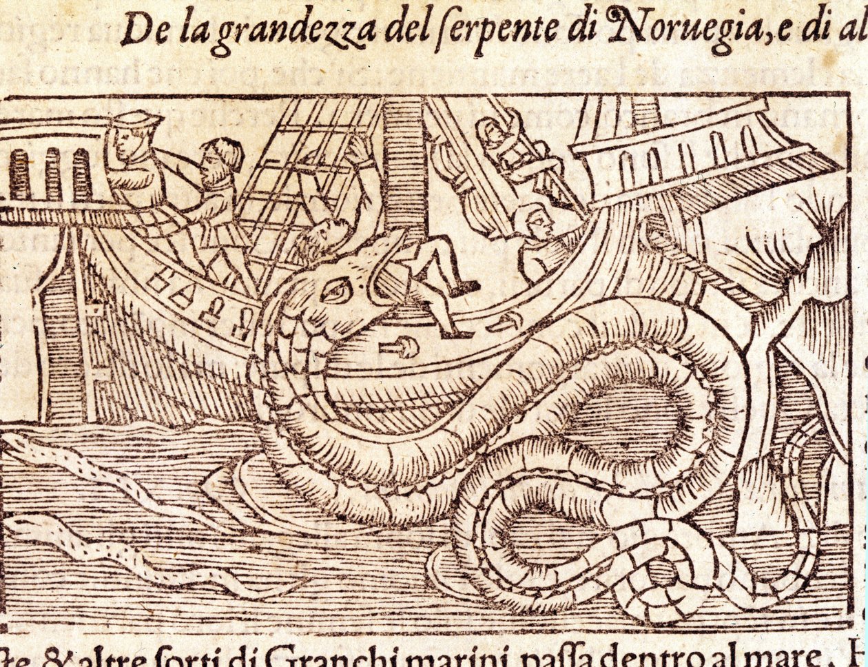 En kæmpe marineslange angriber et skib og slår dets besætning. Gravering af Olaus Magnus (1490 - 1557), svensk religiøs og geograf, "Historia de Gentis Septentrionalibus", Venedig af Unknown artist