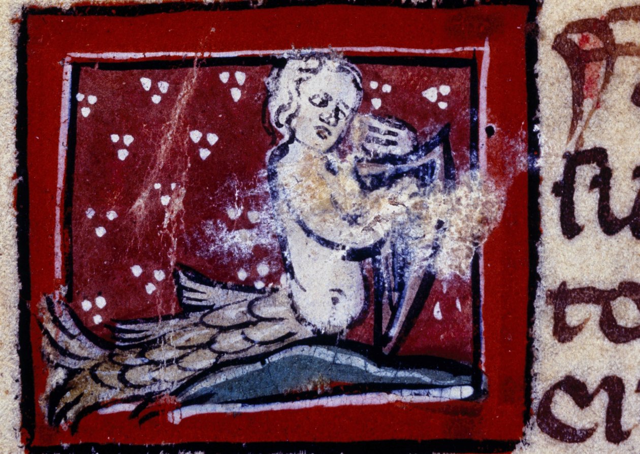 En sirene - Bestiary af det 14. århundrede. Milano, Bibliotek Trivulziana. af Unknown artist