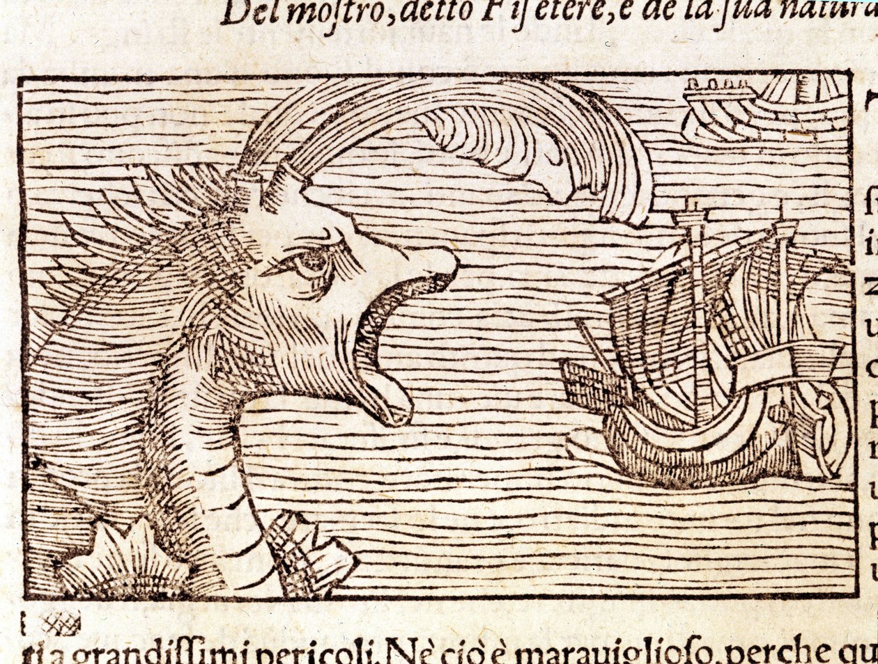 En kaskelothval (?) (physeter) angriber et skib. Gravering af Olaus Magnus (1490 - 1557), svensk religiøs og geograf, "Historia de Gentis Septentrionalibus", Venedig af Unknown artist