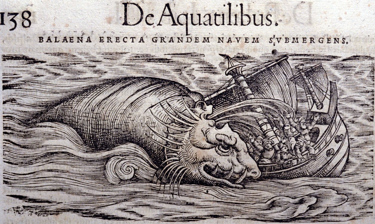 En hval ødelægger en båds skrog og får den til at synke. Gravering n Historia Animalium af Conrad Gesner (1516 - 1565), Tiguri af Unknown artist