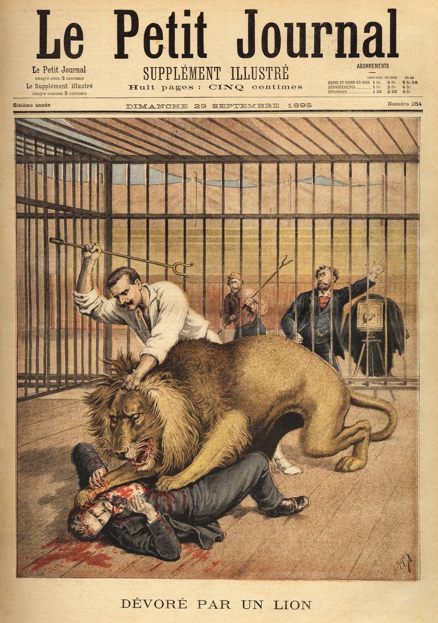 En ung mand, der ønsker at blive fotograferet i en løves bur, bliver fortæret på trods af tæmmerens bestræbelser på at holde løven. Indgravering i "" Le petit journal"" 29/09/1895. Selvas samling. af Unknown artist