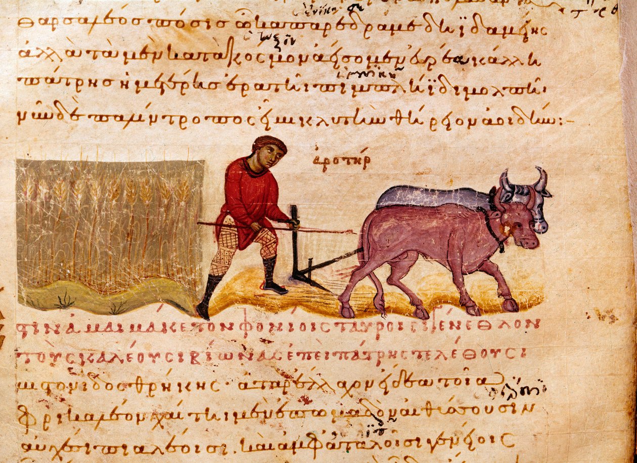 Landbrug: pløjescene. Miniature fra jagtbranchen "" The Cynegetics "" af Oppian (Oppian eller Oppianus) fra Syrien (3. århundrede e.Kr.) dedikeret til Caracalla. Venedig fra det 11. århundrede. Biblioteca Marciana af Unknown artist