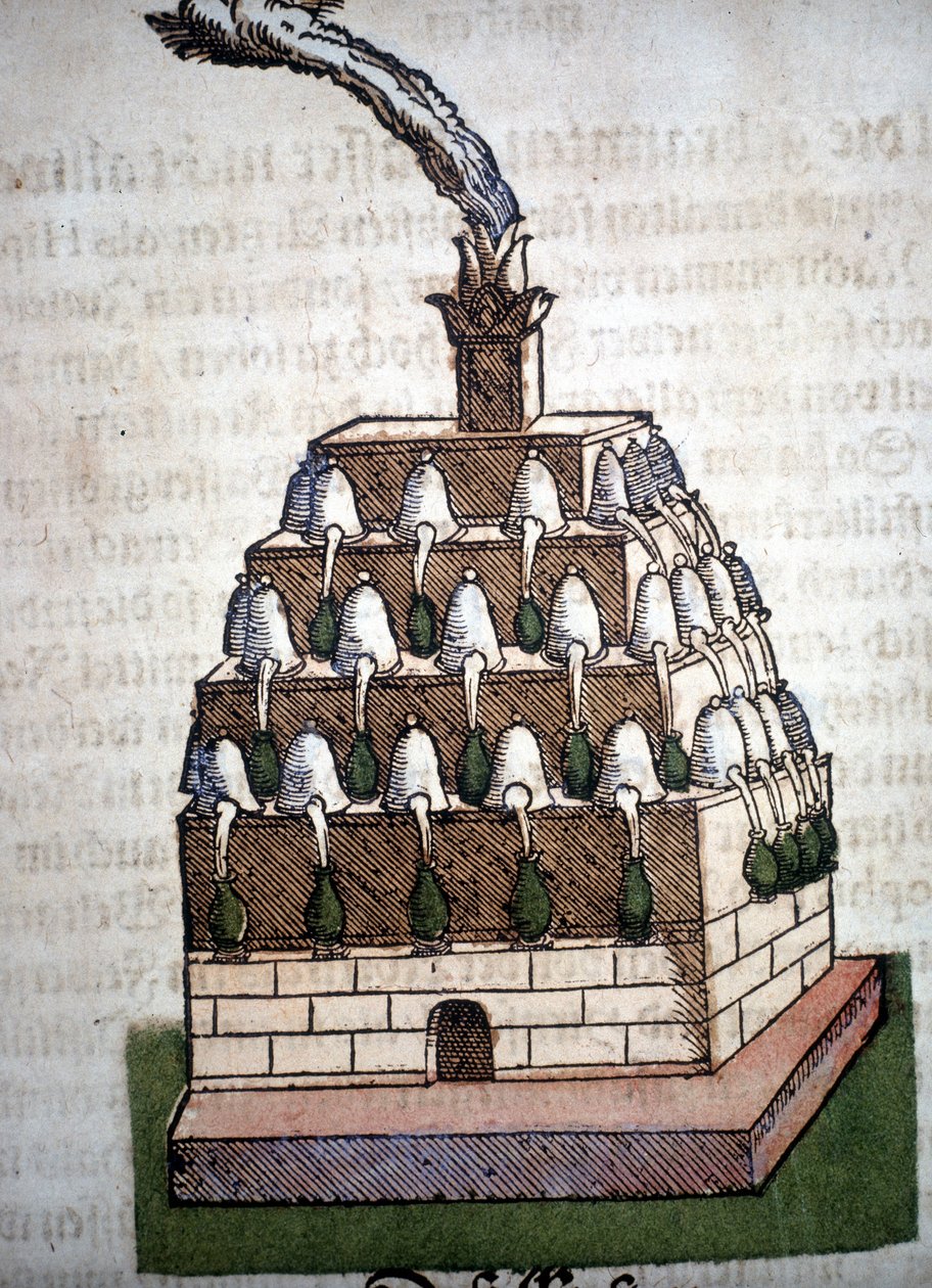 Alchemy: the Athanor Four fra en bog af Pietro Andrea Mattioli (Matthiole) (1500-1577). Frankfurt af Unknown artist