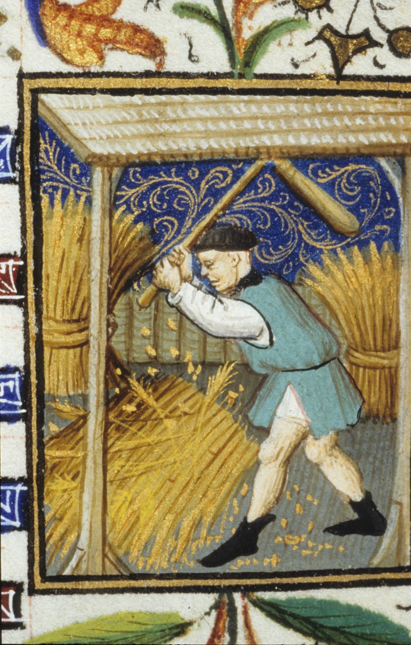 Allegorisk fremstilling af august. En bonde, der slår hvede. Miniature af et manuskript fra det 14. århundrede. af Unknown artist