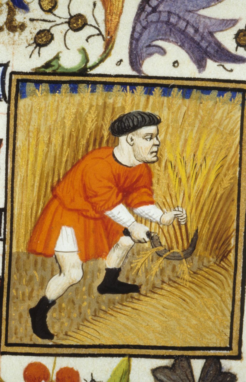 Allegorisk fremstilling af juli. Høst: en bonde, der slår gylden hvede. Miniature af et manuskript fra det 14. århundrede. af Unknown artist