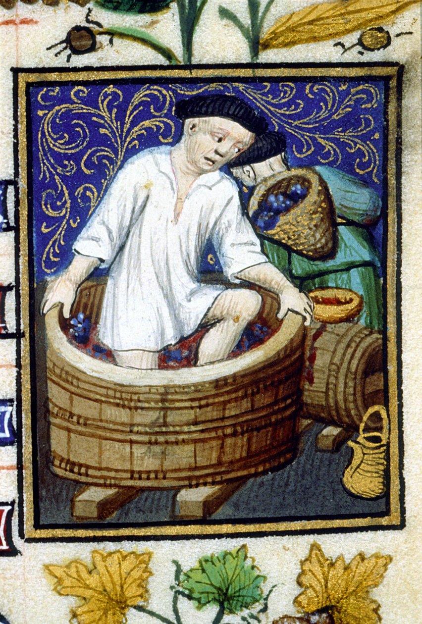 Allegorisk fremstilling af september. Høst, druestripning. Miniature af et manuskript fra det 14. århundrede. af Unknown artist