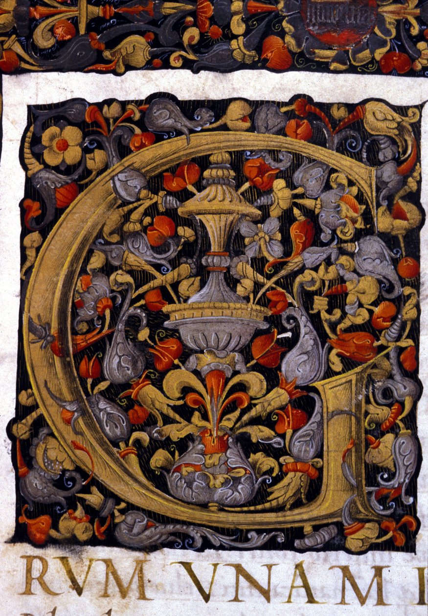 Alfabet: miniaturet bogstav G af Unknown artist
