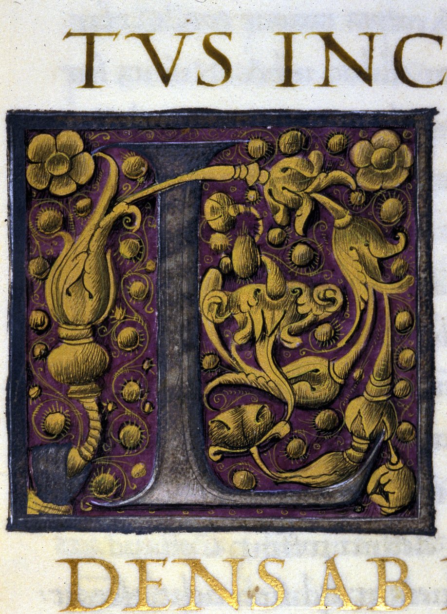 Alfabet: lille bogstav L af Unknown artist