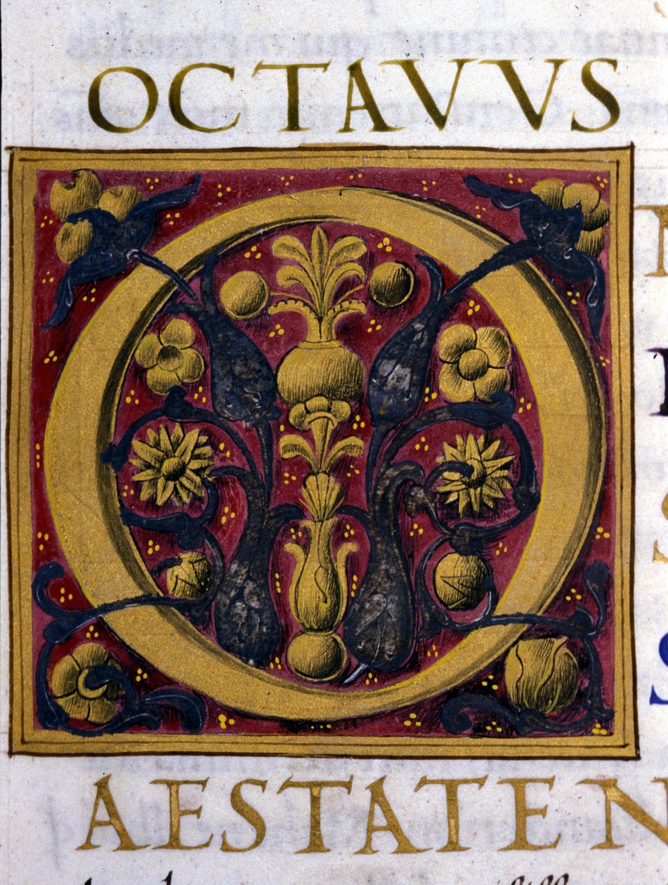 Alfabet: miniaturet bogstav O af Unknown artist