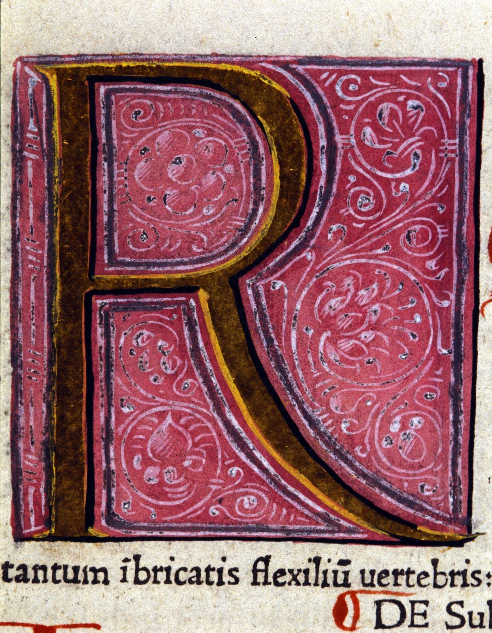 Alfabet: lille bogstav R af Unknown artist