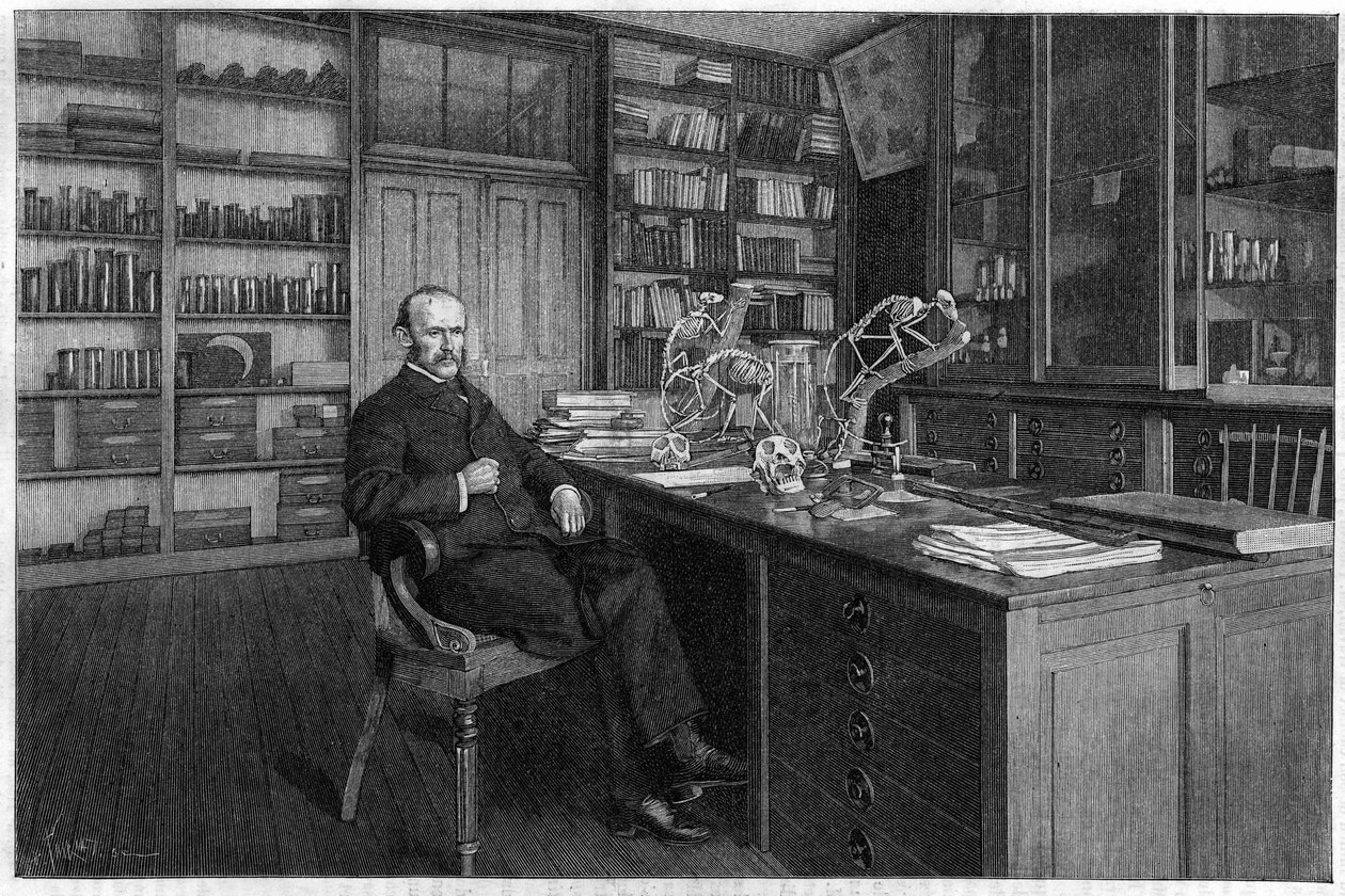 Alphonse Milne Edwards (Milne-Edwards af Unknown artist