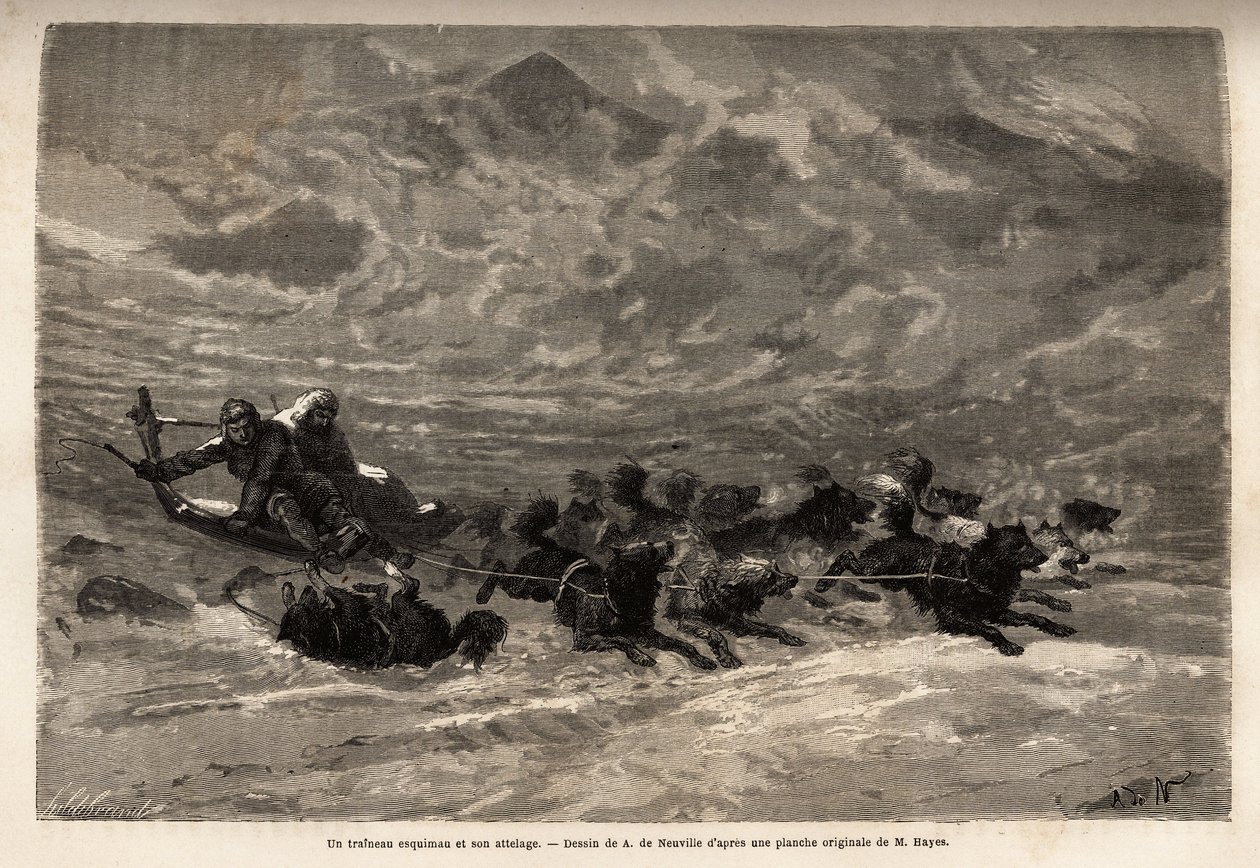En eskimauslæde og dens hundehold, den hurtigste og mest pålidelige måde at rejse i Arktis. Gravering til illustration af rejsen til det frie hav af den arktiske pol, af Doctor Hayes, kirurg fra den amerikanske flåde, i 1860-1862, offentliggjort i "Le tour af Unknown artist