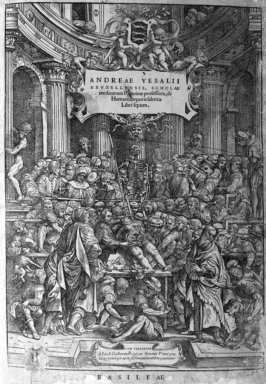 Anatomisk rum. Frontispice af værket "Human corporis fabricated released September 1543" af André Vesalius (1514-1564), hollandsk anatom (på latin: Andrea Vesalius, på hollandsk: Andries Van Wesel). af Unknown artist