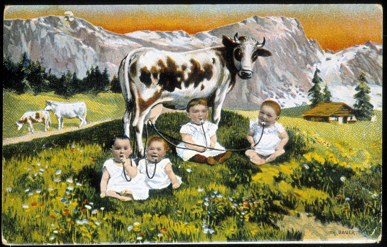 Babyer stædige en ko ved rør - Postkort, slutningen af det 19. århundrede af Unknown artist