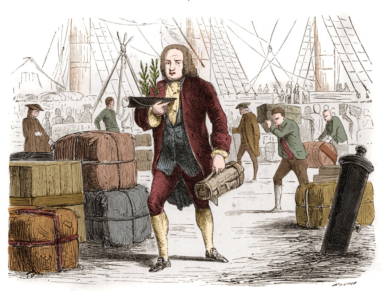 Bernard de Jussieu (1699-1777), fransk botaniker, der bringer to ceder fra Libanon fra England i 1734. Indgravering fra 1861. af Unknown artist