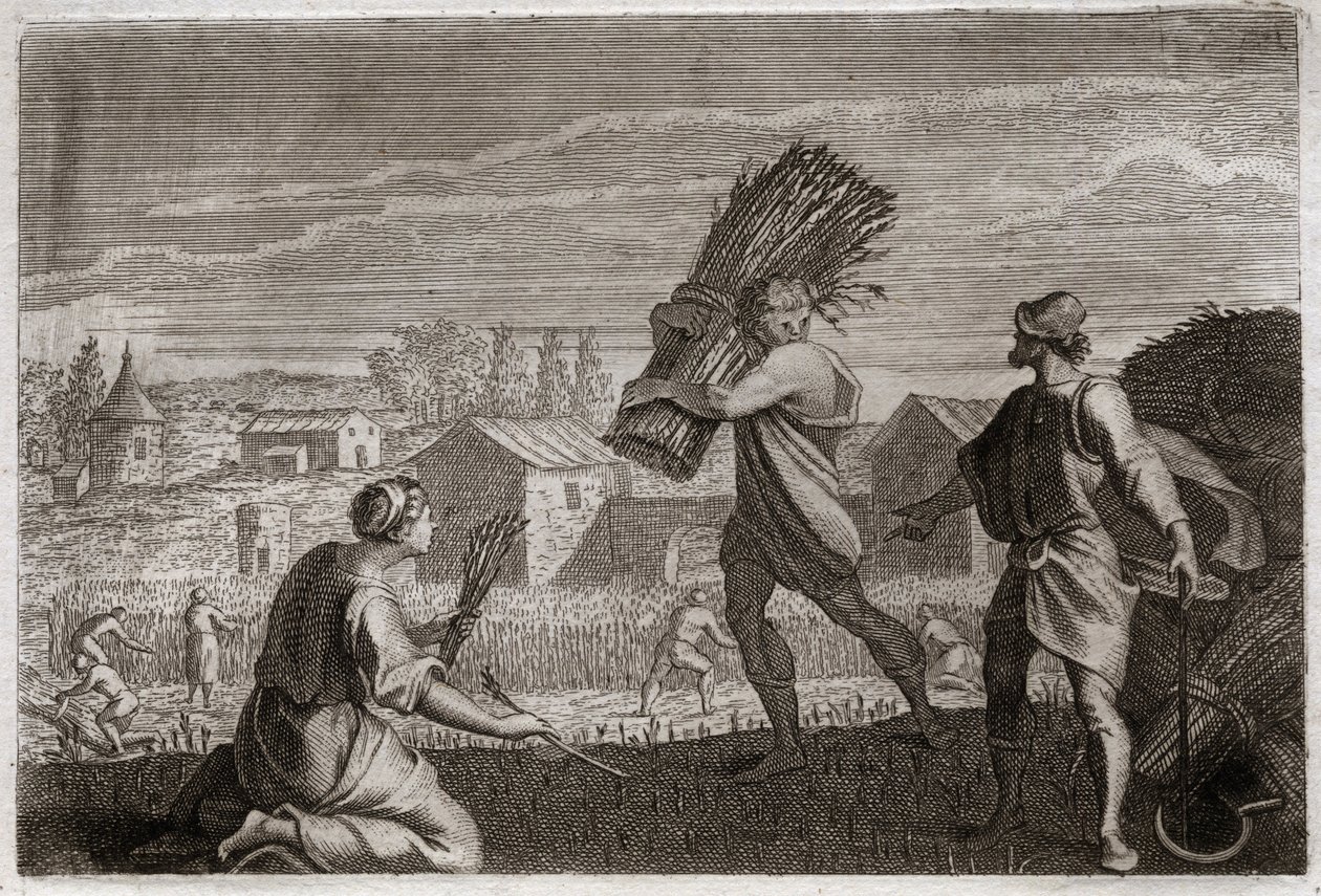 Bible of Royaumont, Det Gamle Testamente: Ruth følger sin svigermor Noemi (Naomi, Noemie) i Judas land og høster Boaz