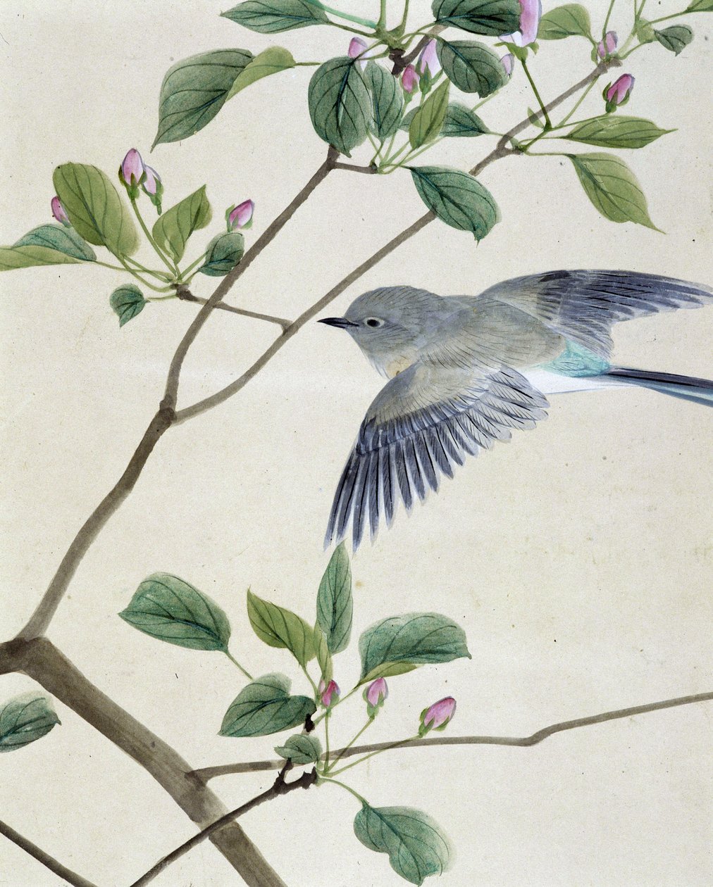 Fugl - japansk tegning af Riou Chim, slutningen af det 19. århundrede af Unknown artist