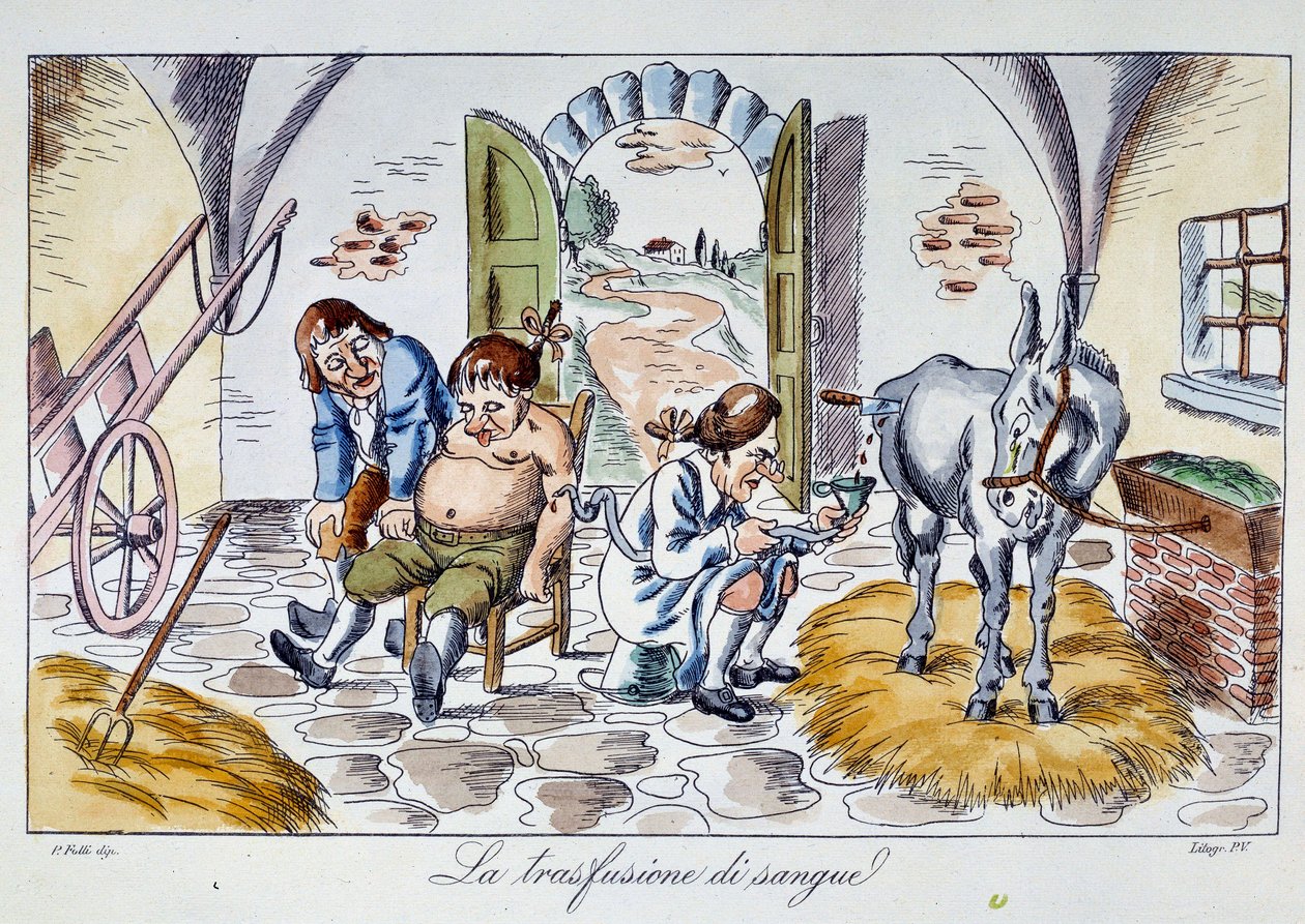 Blodtransfusion En læge sprøjter hesteblod ind i en patient. Tegneserie fra det 19. århundredes privatsamling af Unknown artist