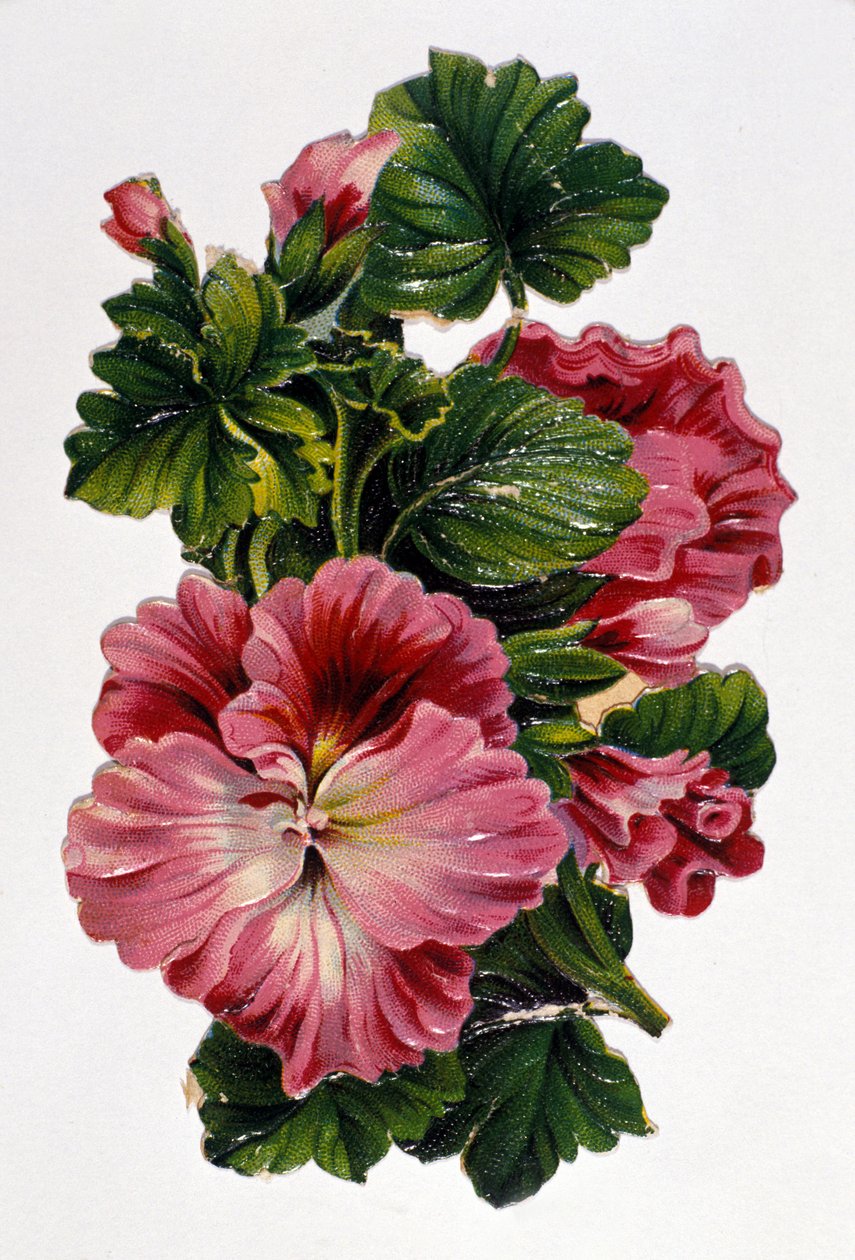 Buket blomster. 1800-tallets kromolitografi. af Unknown artist