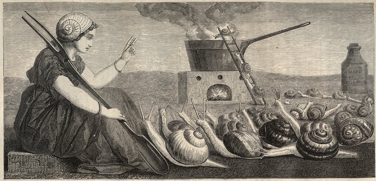 Bourgognesnegl - gravering 1800-tallet af Unknown artist