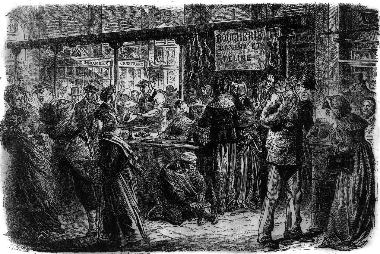 Slagterhund og kattedyr i Paris i 1870 af Unknown artist