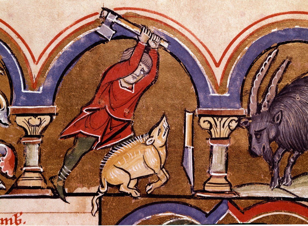 Kalender: november. Grisene bliver slagtet. Detalje af en miniature taget fra "" The Psalter of Saint Elizabeth""" Cividale fra det 13. århundrede, Museo Archeologico af Unknown artist
