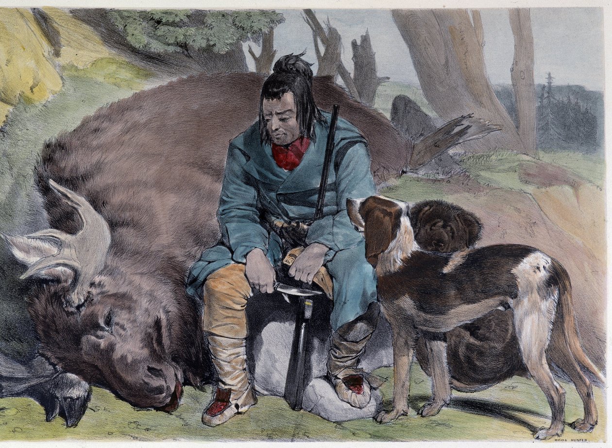 Canadiske Huron Elk Hunt - i "" Shyths sketches in the Canadas"" af Coke Smyth, London af Unknown artist