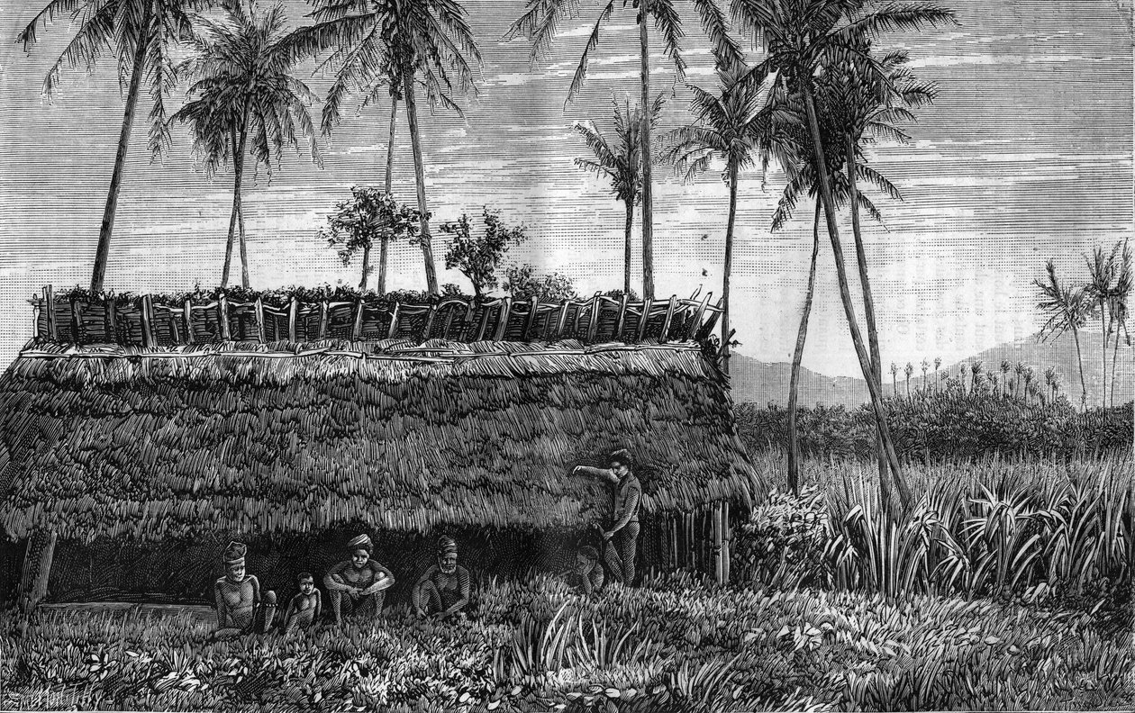 Canaques of New Caledonia (New Caledonia) foran en kasse eller et mødehus. Indgravering i ""La Nature"" af Unknown artist