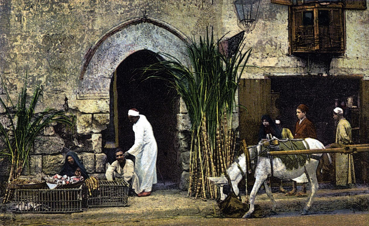 Sælgere af rørsukker. Cairo. Egypten. Postkort fra begyndelsen af det 20. århundrede. af Unknown Artist