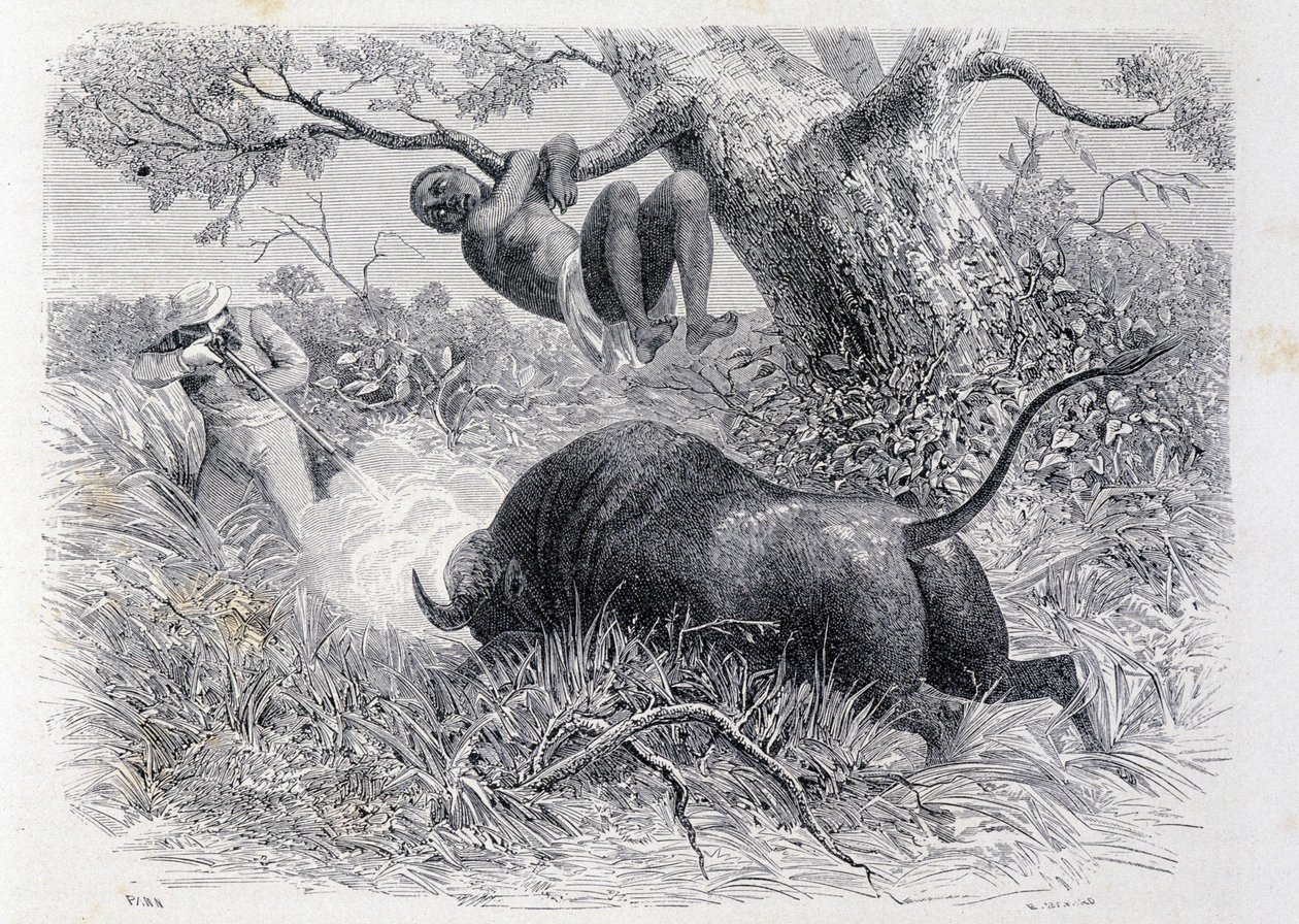 Kaptajn Speke jager bøfler - i "" Tour du Monde"" af Unknown artist