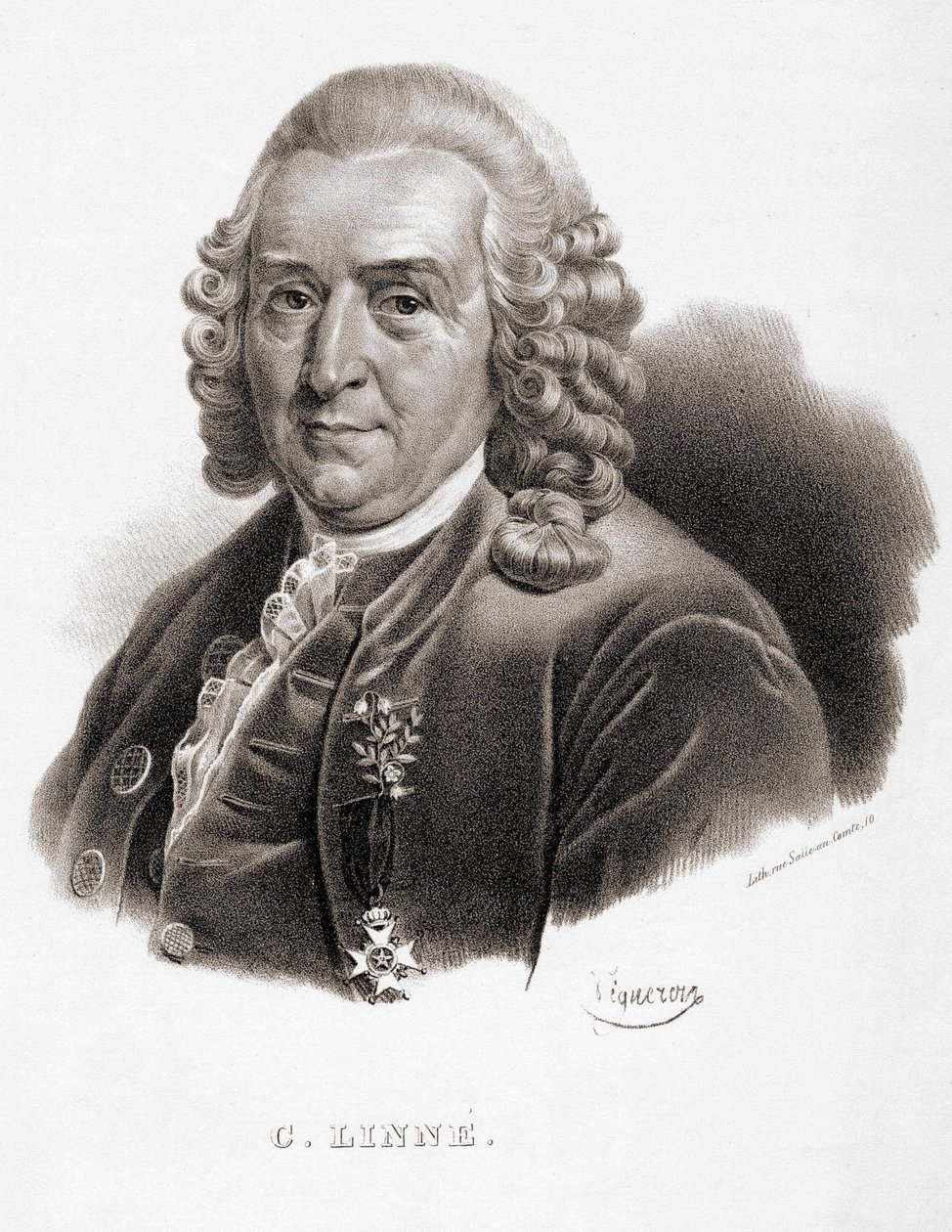 Carl Von Linné svensk naturforsker og forfatter (1707 - 1778). af Unknown artist