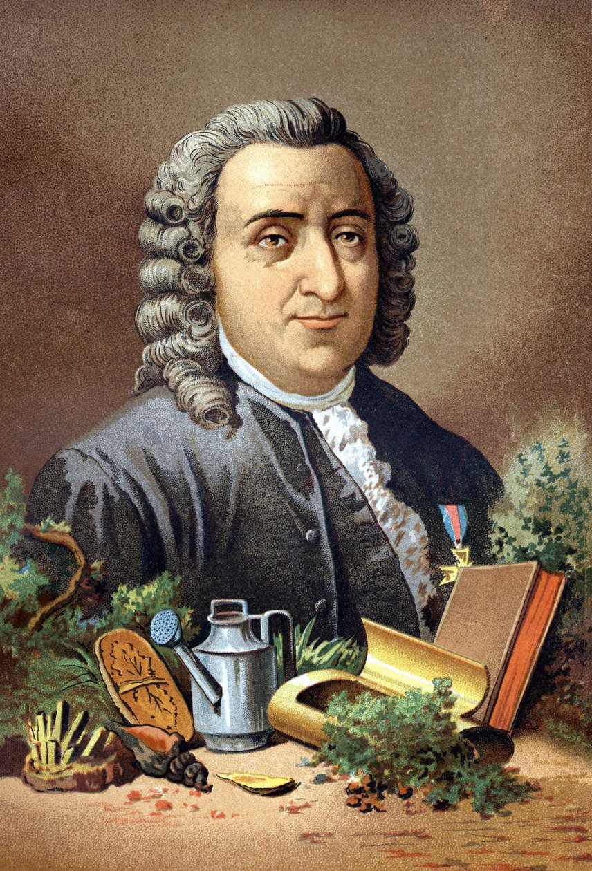 Carl Von Linné svensk naturforsker og forfatter (1707 - 1778) efter "Videnskaben og dens mænd" af Louis Figuier. Barcelona 1881 af Unknown artist