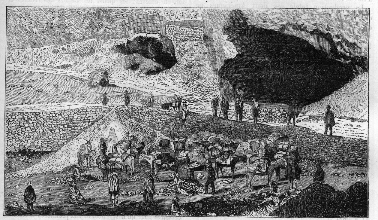 Cerro de Pasco sølvmine i Peru: transport af malm på bagsiden af Mulet. Indgravering i ""La Nature"" af Unknown artist