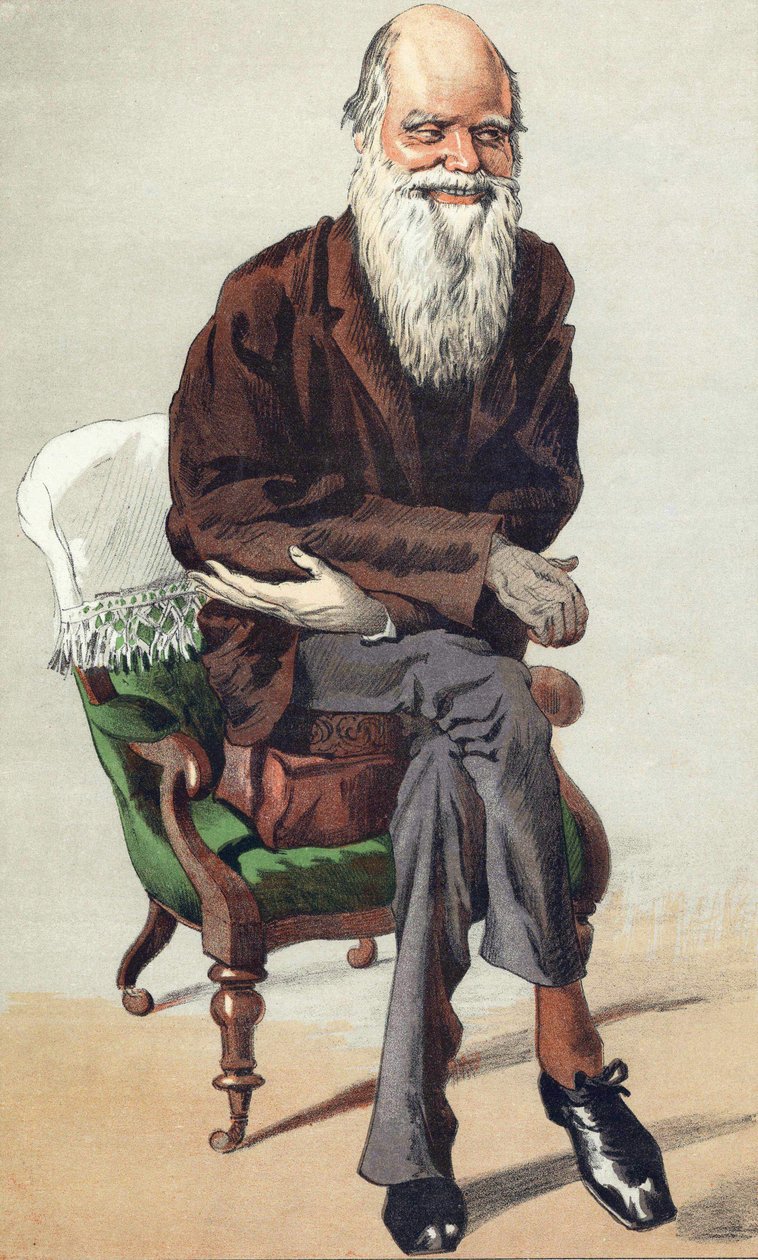 Charles Darwin (1809 - 1882), illustration i "Vanity Fair" den 30. september af Unknown artist