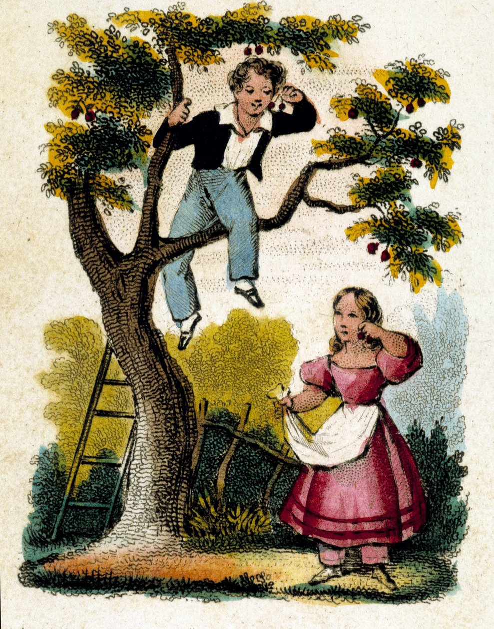 Kirsebærplukning - chromo., slutningen af 1800-tallet af Unknown artist