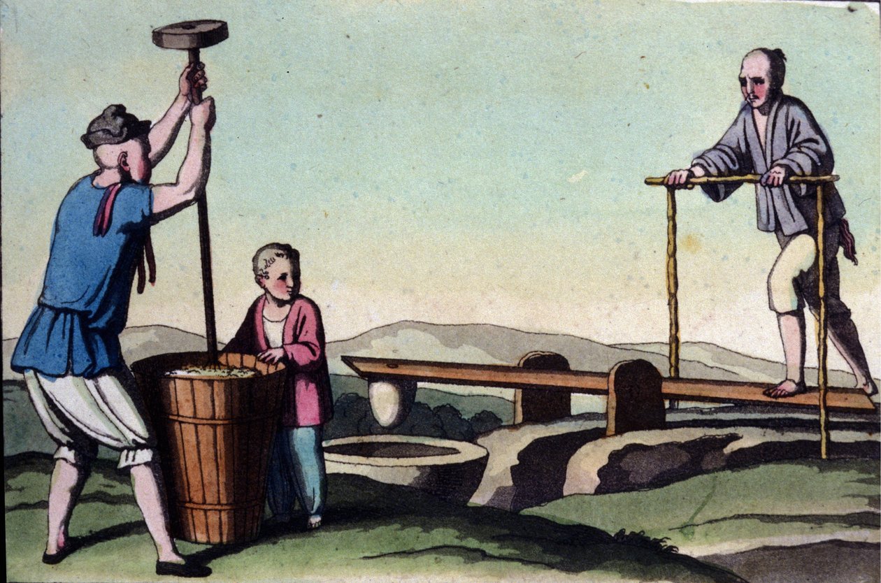 Kina, til venstre afskalning af ris og til højre regulering af vand til stiklingerne - i "Det gamle og moderne kostume"" af Jules Ferrario af Unknown artist