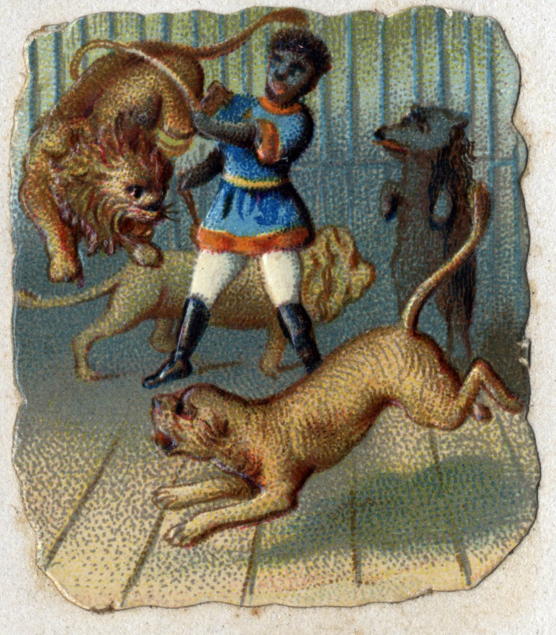 Cirkus: en tæmmer i et bur med vilde dyr. af Unknown artist