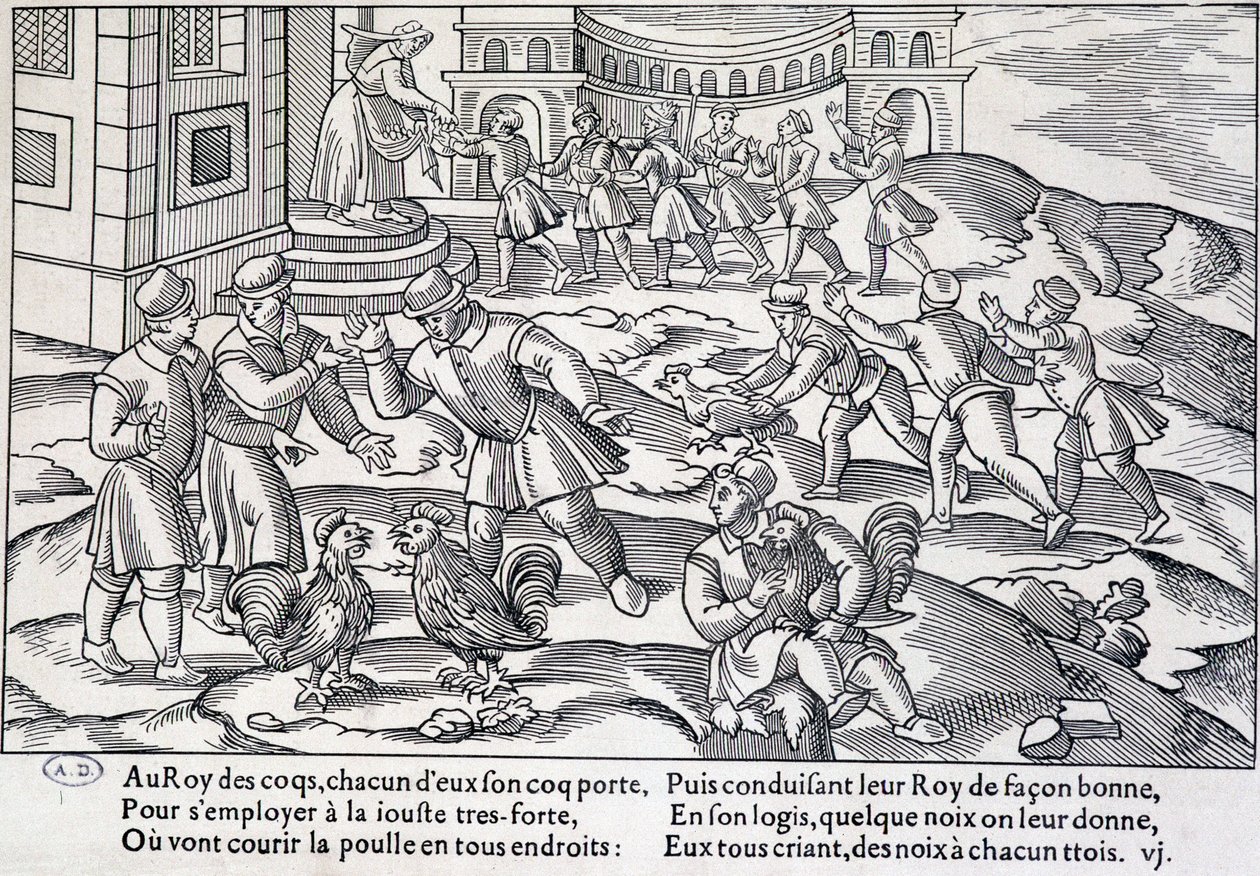 Hanekamp, XVI-XVII århundrede af Unknown artist