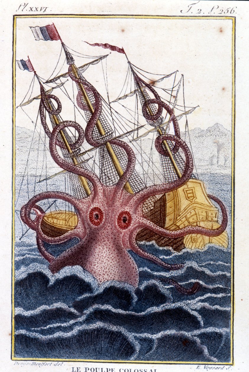 Kolossal blæksprutte (blæksprutte, kæmpe blæksprutte, kraken) angriber et skib (skib, skib) - indgravering af bogen af Pierre Denys-Montfort (Denys de Montfort 1766-1820) "" Histoire naturelle des mollusques", originaludgave af 1802) - af Unknown artist